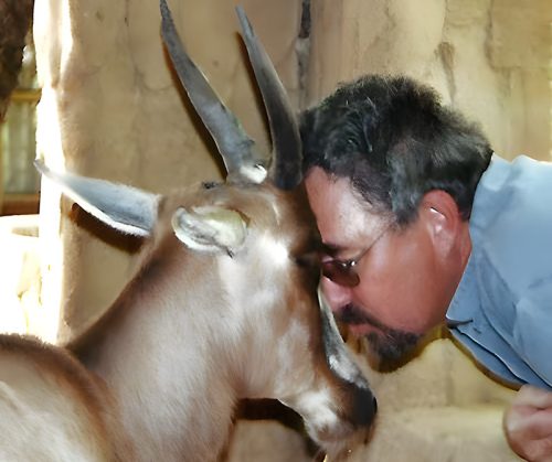 David Haggett working with antelope on a game ranch in South Africa